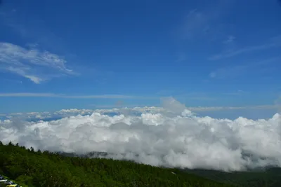 DSC_3637 (Large).JPG